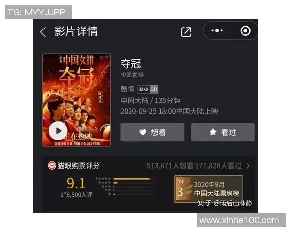 杭州排球队的拼搏之路：世界杯背后的奋斗与荣耀