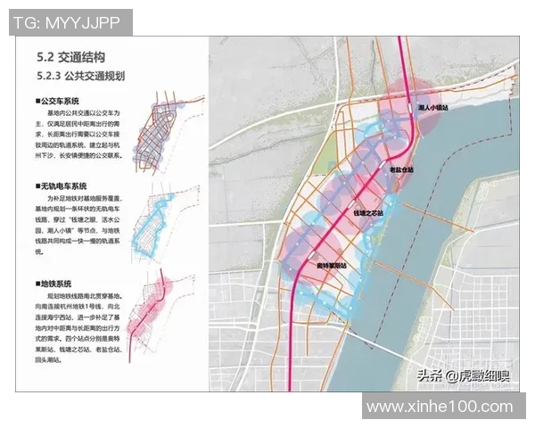 杭州篮球队灵活性分析：战术调整与球员适应性的深度探讨