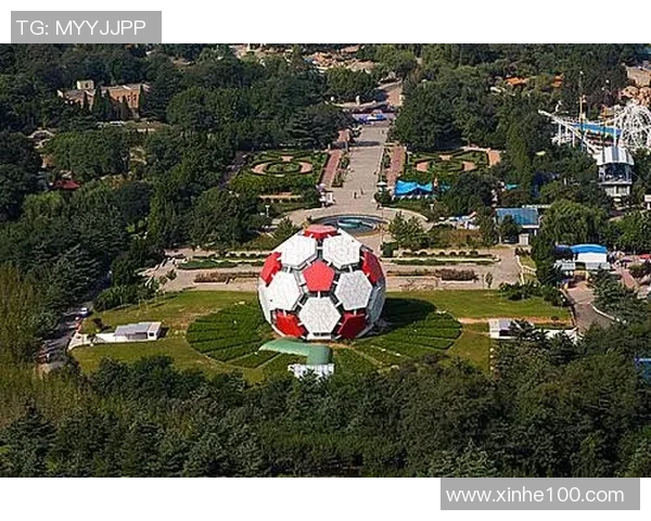 大连足球明星大炮的传奇故事与辉煌成就全景回顾