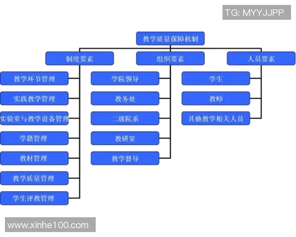 杭州乒乓球队的战术运营体系探讨与实践分析